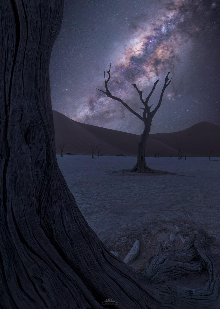 Viaje fotográfico a Namibia - árboles muertos de acacia en Deadvlei al amanecer