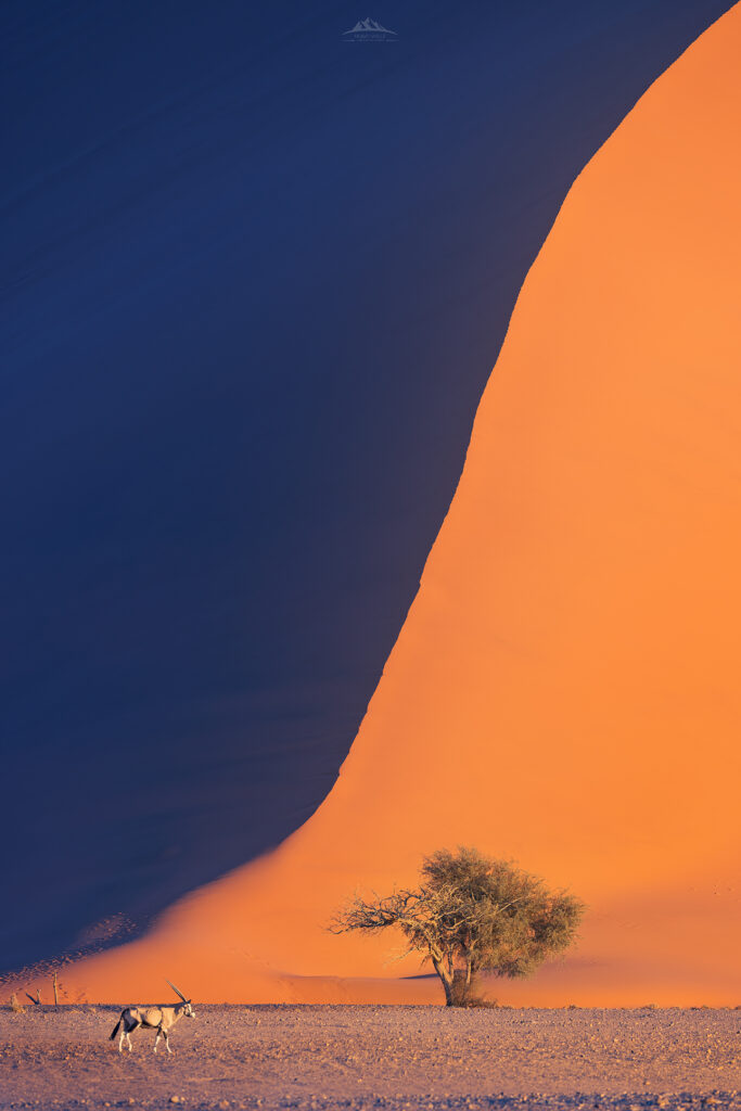 Dunas de Sossusvlei al amanecer durante un viaje fotográfico a Namibia