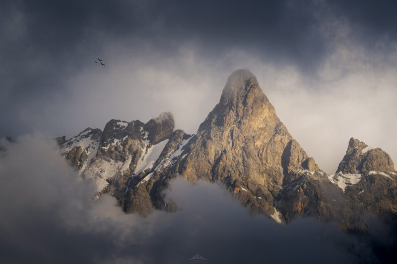 Pico escarpado de la montaña La Meije iluminado por luz dorada, emergiendo entre densas nubes de tormenta. En el cielo oscuro de la izquierda, tres pájaros vuelan en formación.