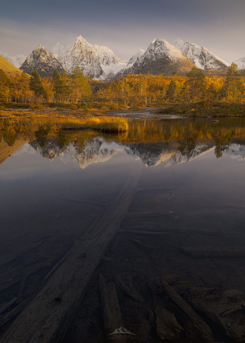 Reflejo de los picos nevados de los Alpes de Lyngen y bosques dorados de otoño sobre un lago en Noruega, con troncos sumergidos en primer plano.